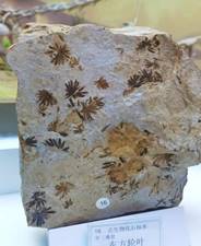 微信圖片_20231113183745